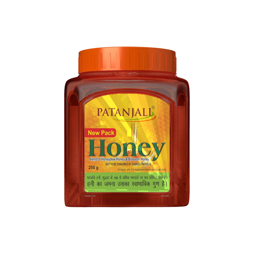 PATANJALI HONEY 100GM